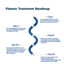 FlosomTimeline